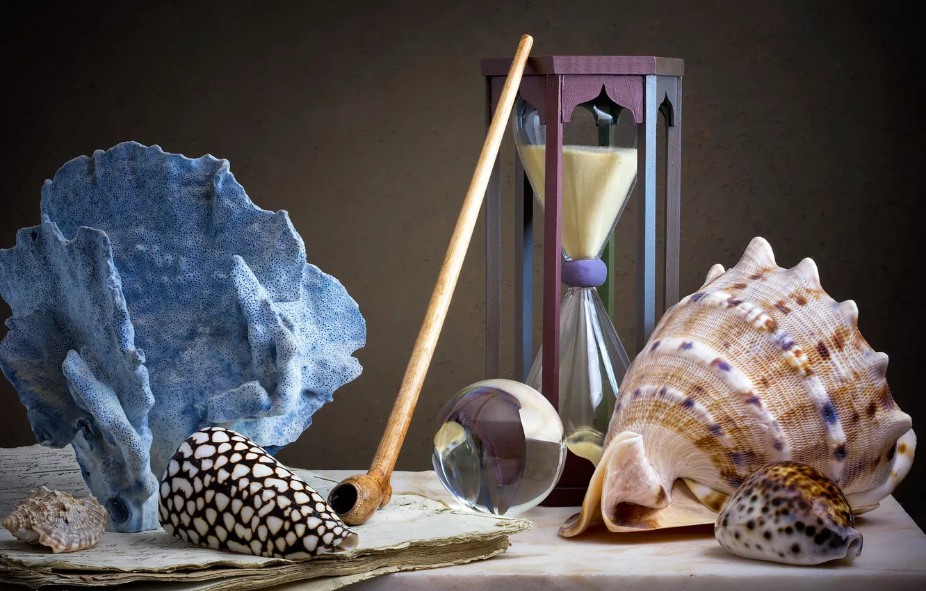 Photo wallpaper style, paper, the dark background, table, tube, leaves, shell, still life