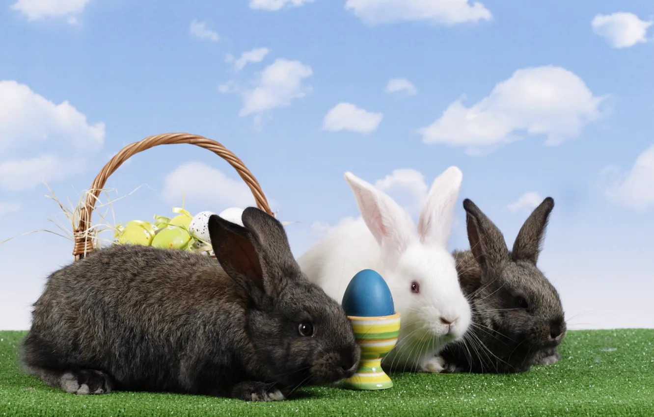 Photo wallpaper basket, eggs, Easter, rabbits, Easter