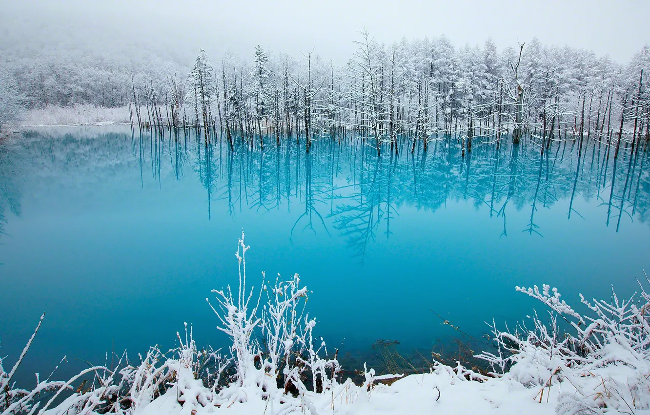 Photo wallpaper winter, lake, beauty, tale, Japan, photo, blue, snow