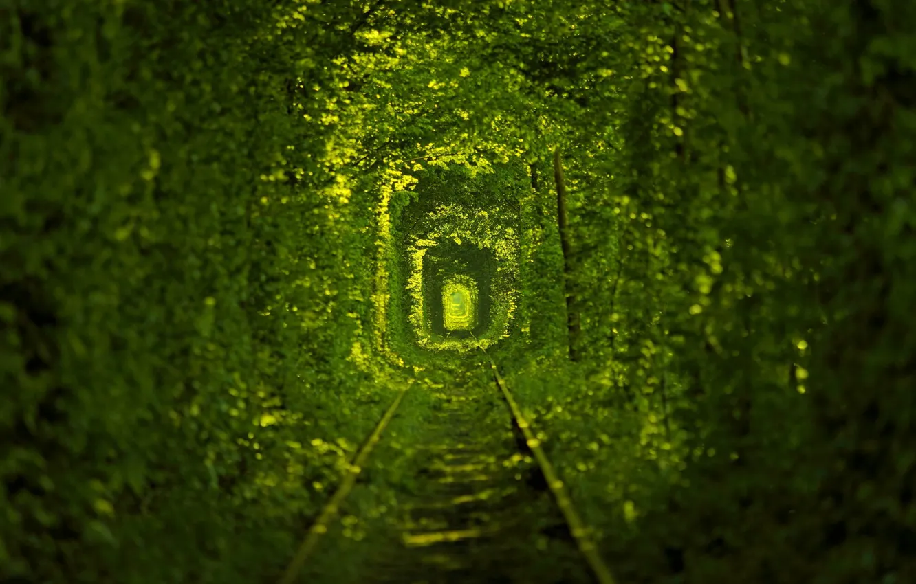Photo wallpaper nature, Ukraine, tram tracks, tunnel of love