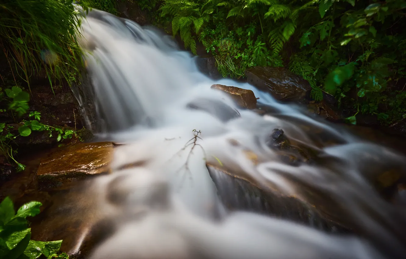 Photo wallpaper stones, waterfall, stream, fern