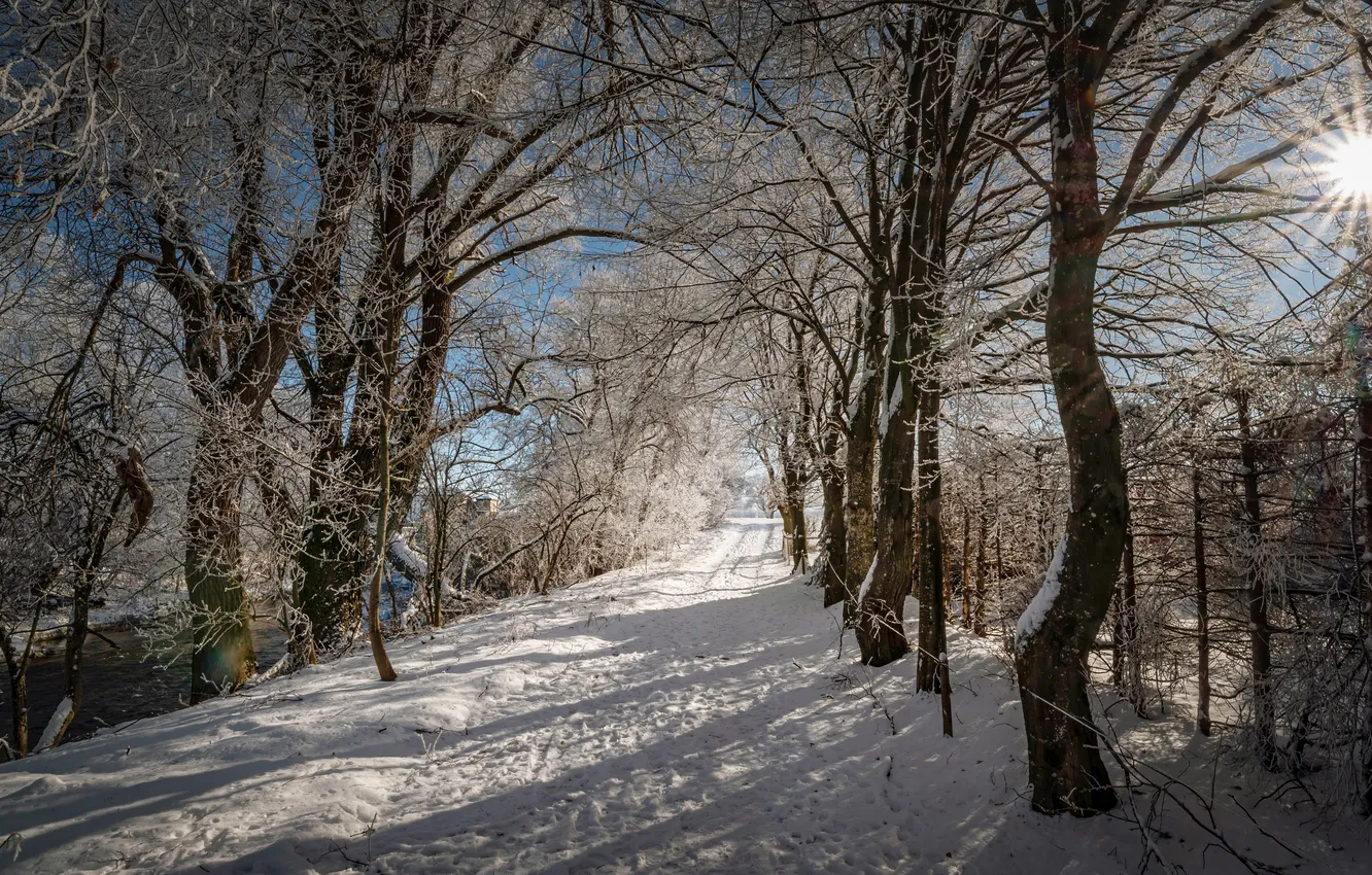 Photo wallpaper winter, frost, road, forest, the sky, the sun, rays, light