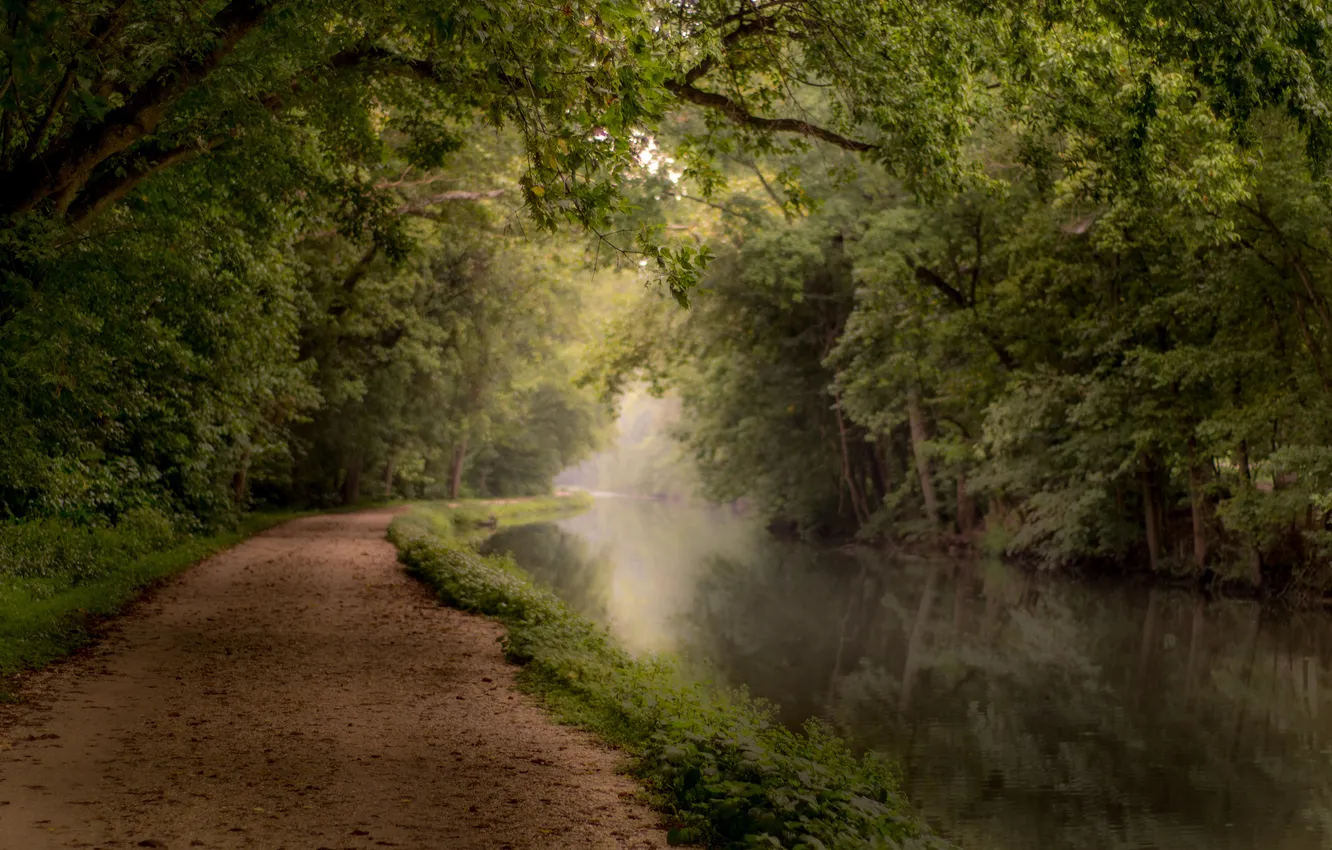 Photo wallpaper road, autumn, leaves, the sun, trees, river