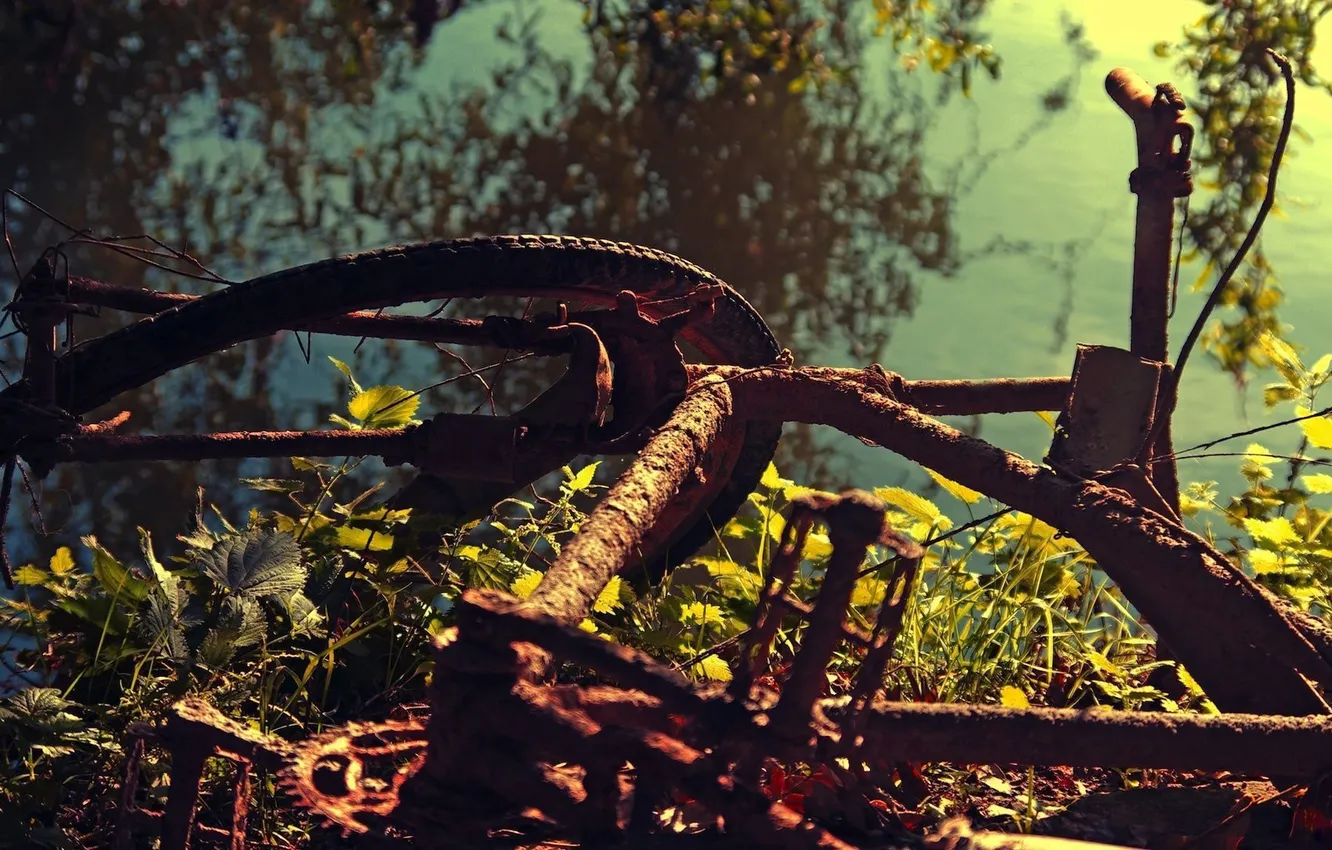 Photo wallpaper grass, macro, bike, rusty, old