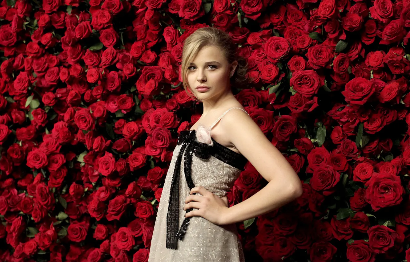 Photo wallpaper wall, roses, actress, Chloe Grace Moretz, Chloë Grace Moretz