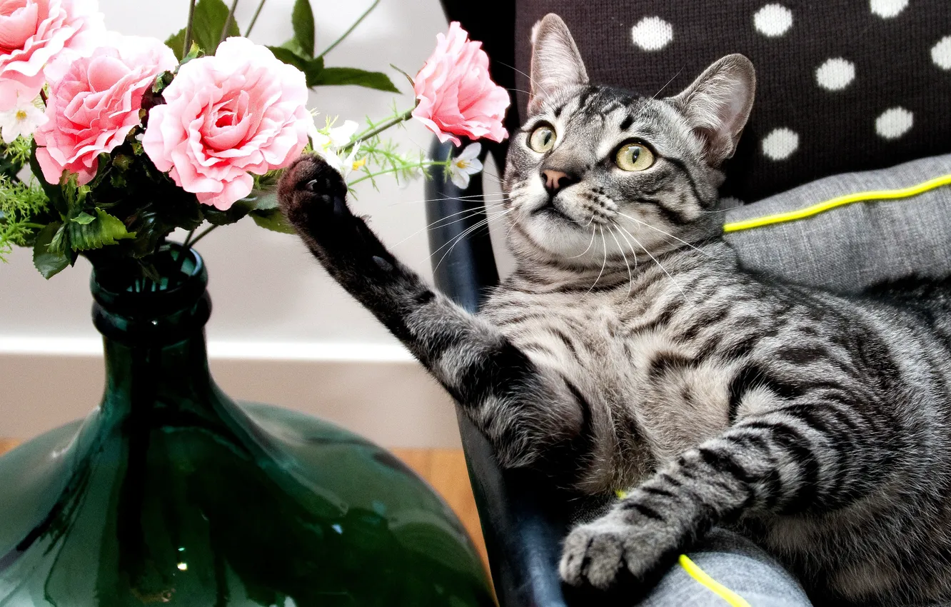 Photo wallpaper cat, cat, look, glass, face, flowers, pose, green