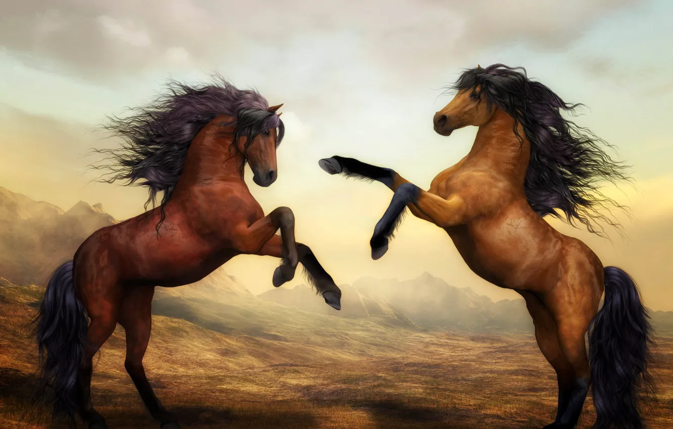 Photo wallpaper horse, horse, figure, pair