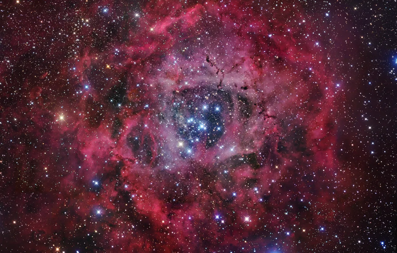 Photo wallpaper stars, Nebula, rosette nebula