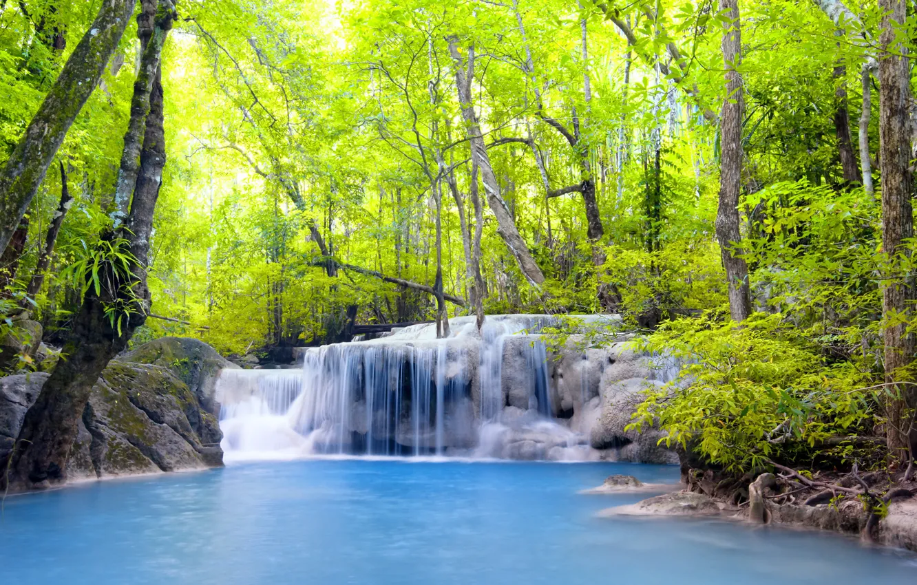Photo wallpaper forest, river, waterfall, forest, river, landscape, waterfall, emerald