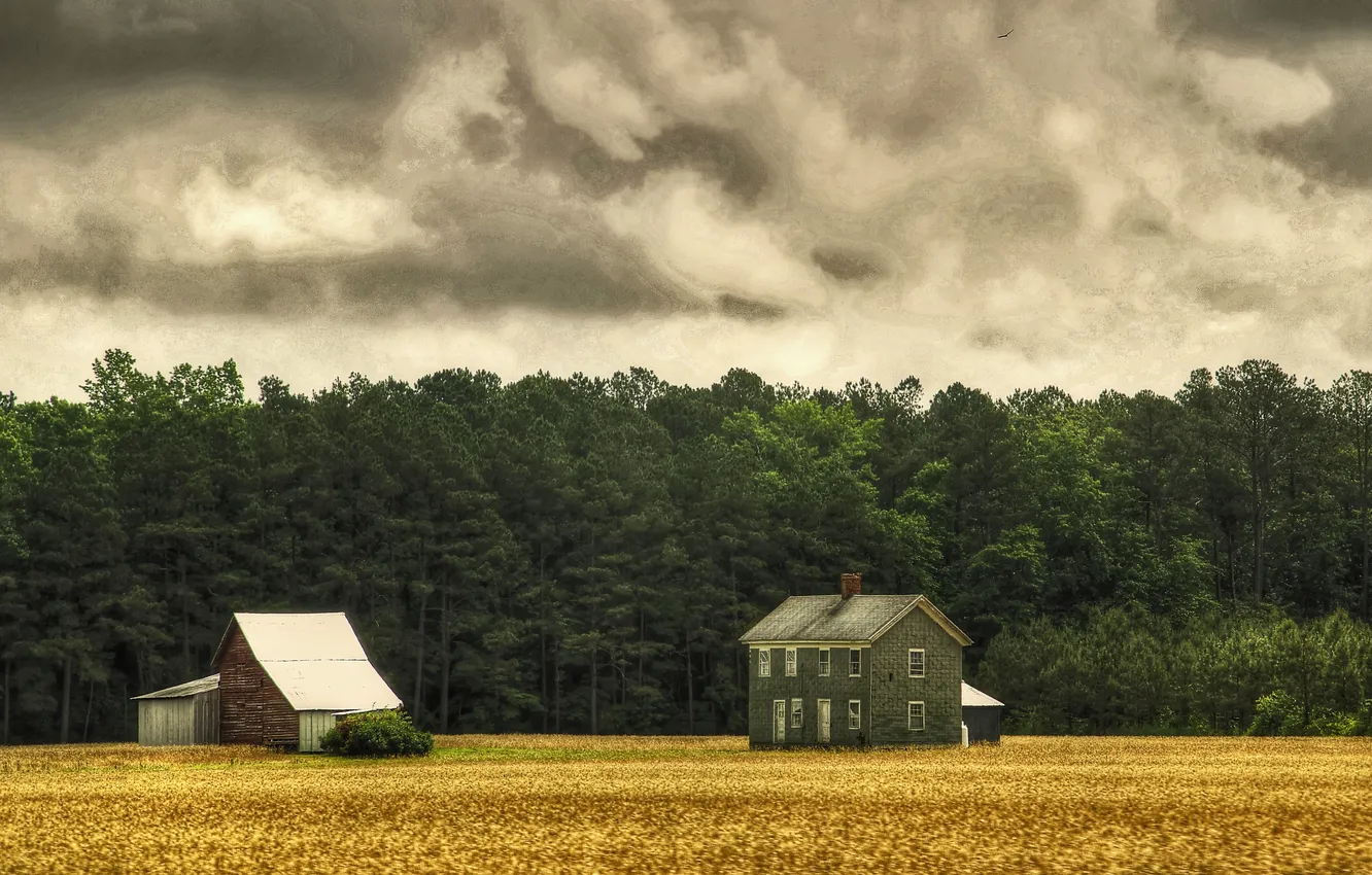 Photo wallpaper field, clouds, trees, house, the barn, farm, rainy