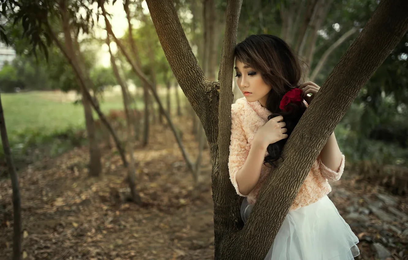 Photo wallpaper beauty, East