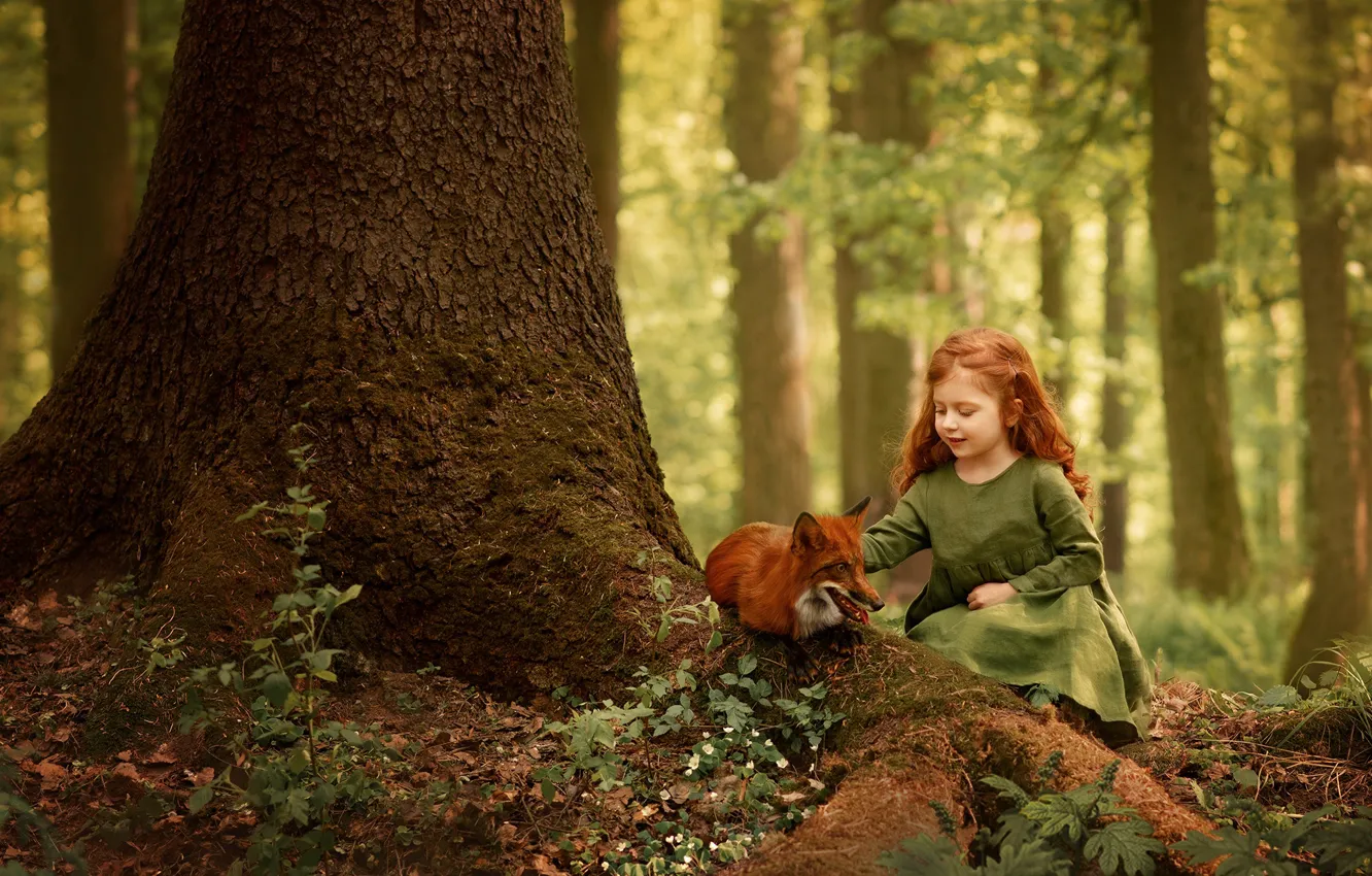 Photo wallpaper forest, Fox, girl, red