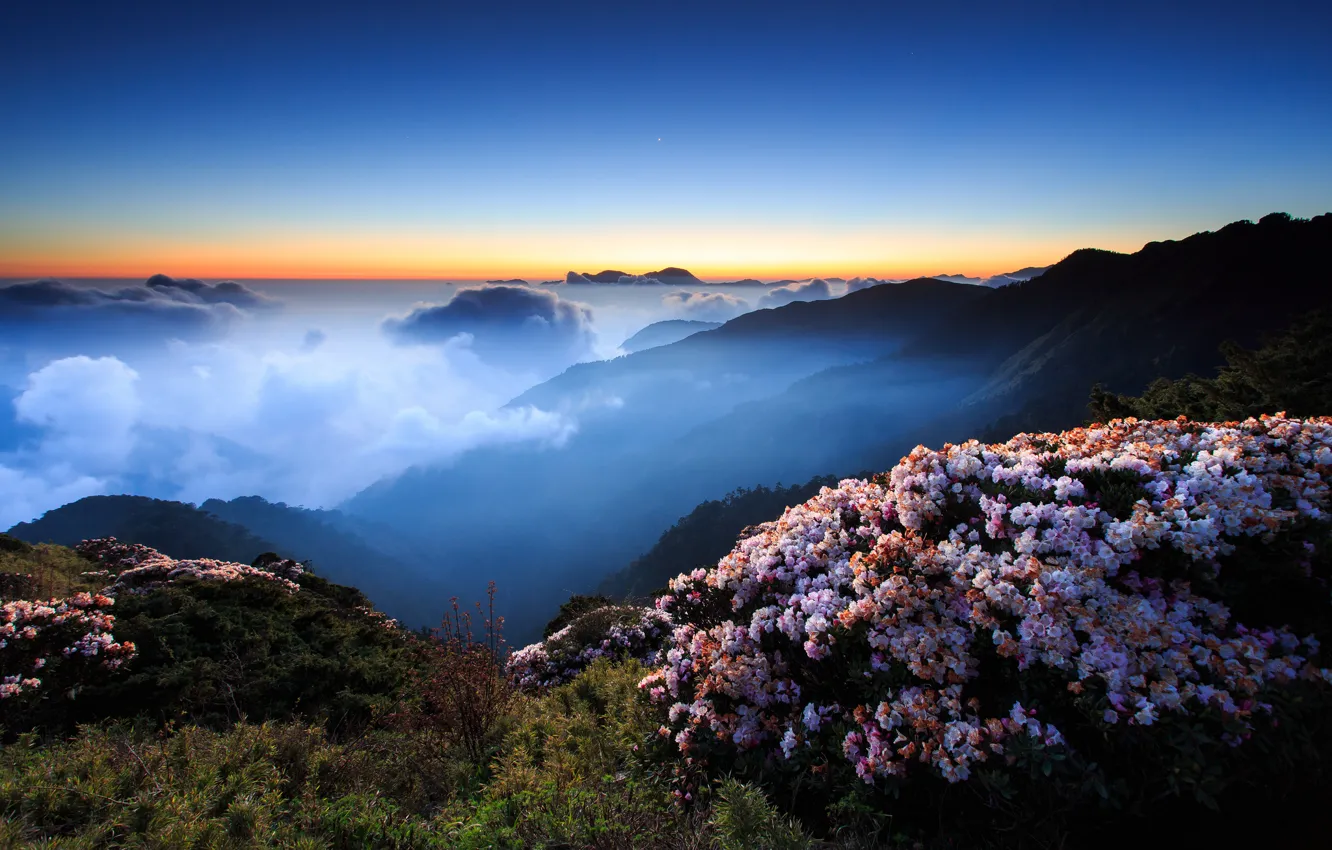 Photo wallpaper the sky, clouds, sunset, flowers, mountains, night, fog, hills
