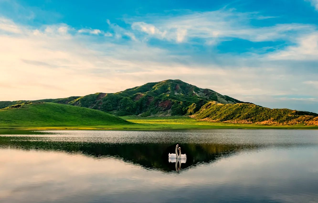 Photo wallpaper mountains, lake, swans