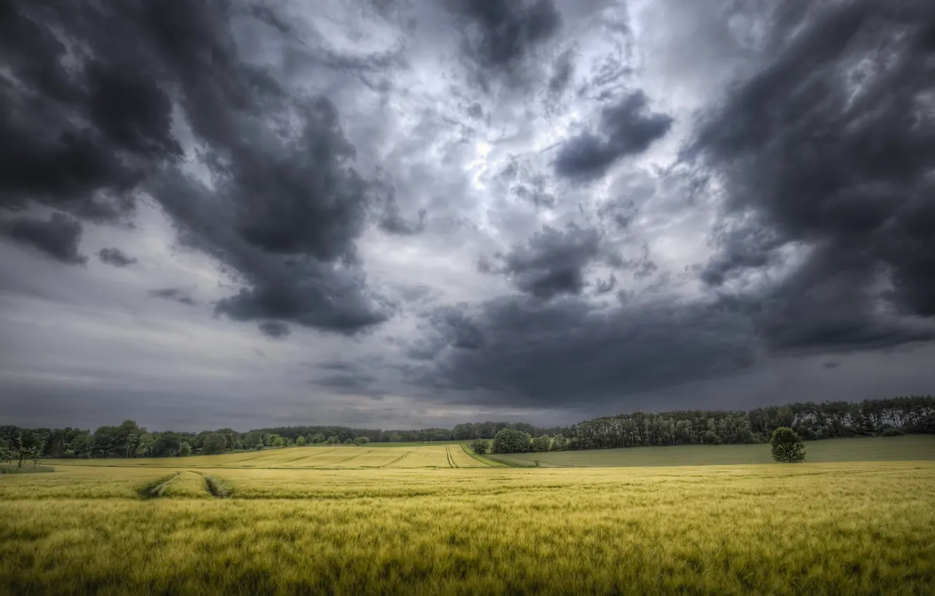 Photo wallpaper field, the sky, clouds, nature
