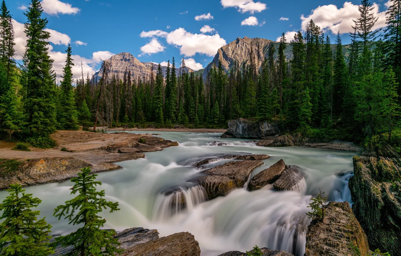 Photo wallpaper forest, mountains, river, ate, Canada, Canada, British Columbia, cascade
