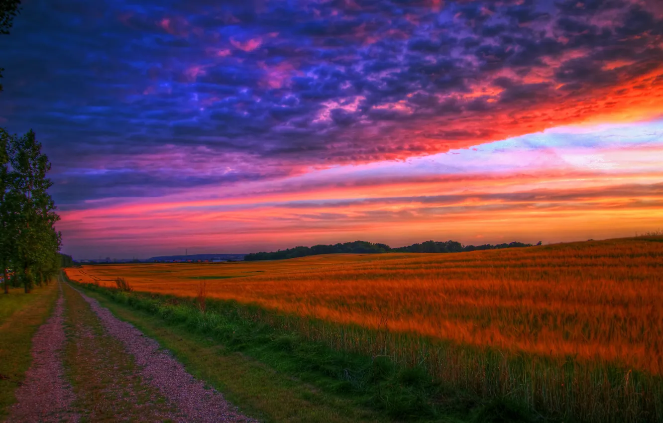 Photo wallpaper road, landscape, sunset, HDR