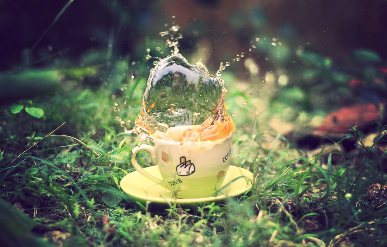 Photo wallpaper greens, summer, grass, macro, squirt, earth, green, tea