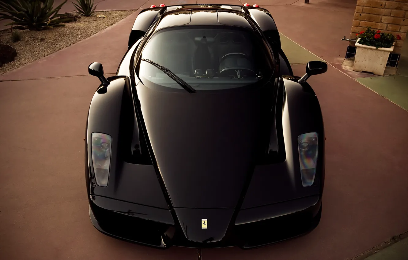 Photo wallpaper black, Ferrari, supercar, supercar, Ferrari, black, enzo, front