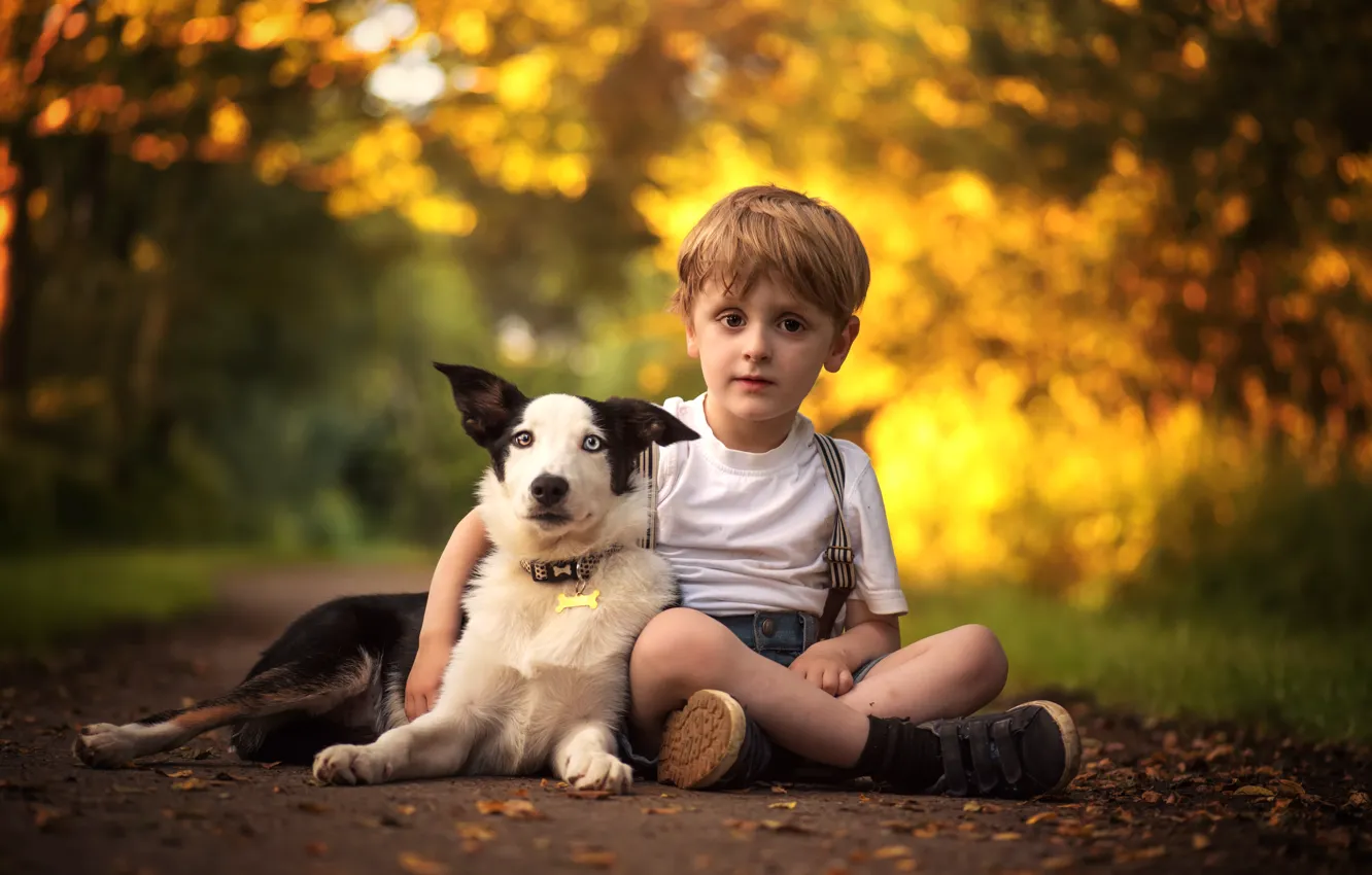 Photo wallpaper each, dog, boy, friendship, the border collie
