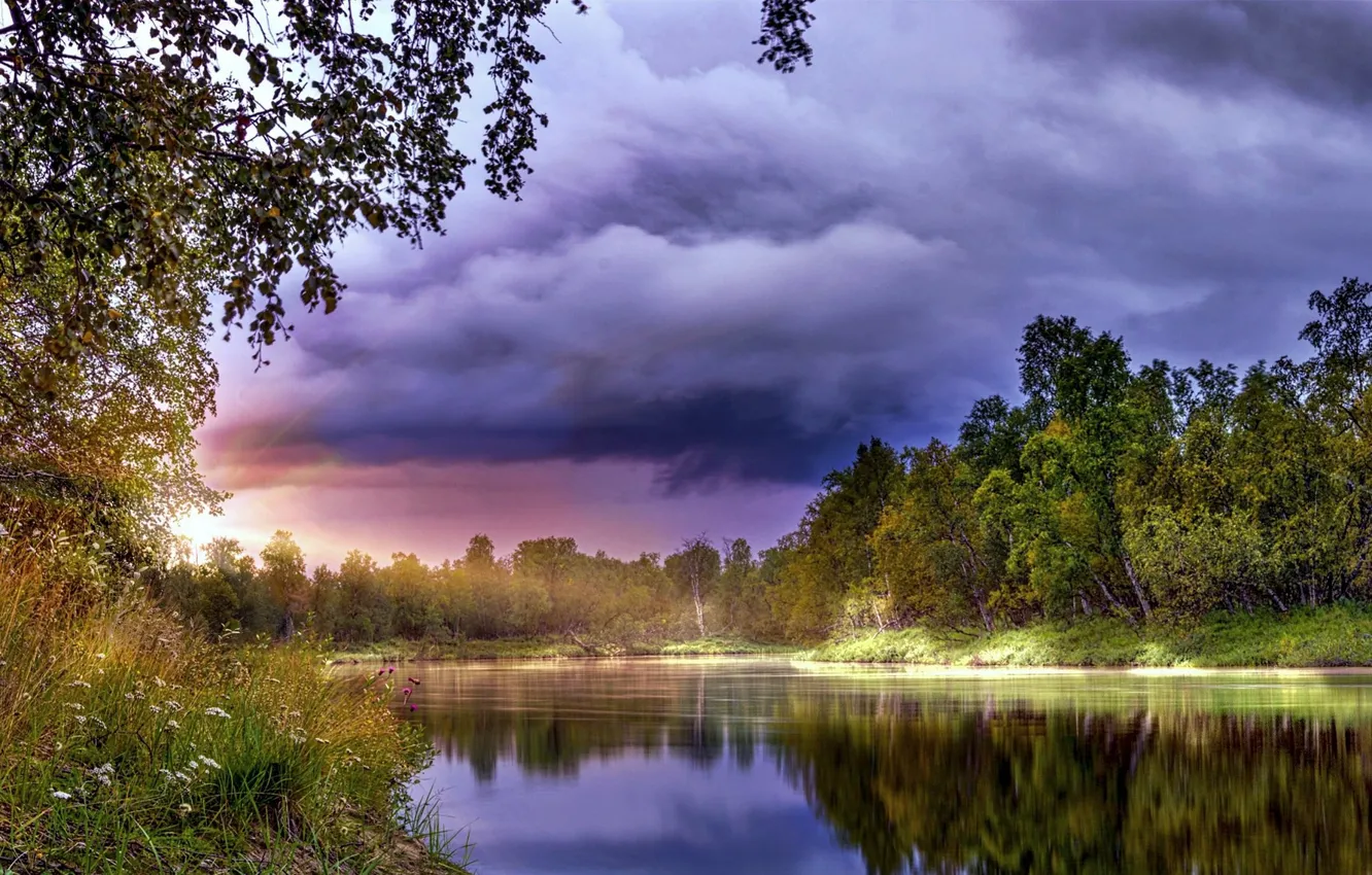 Photo wallpaper trees, landscape, clouds, lake