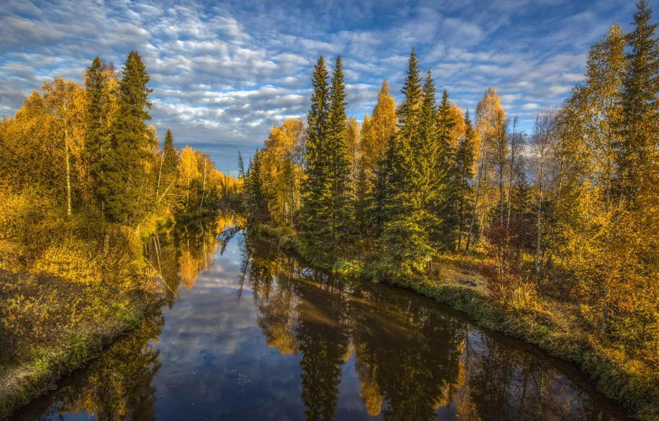 Photo wallpaper autumn, forest, landscape, nature, reflection, river, shore