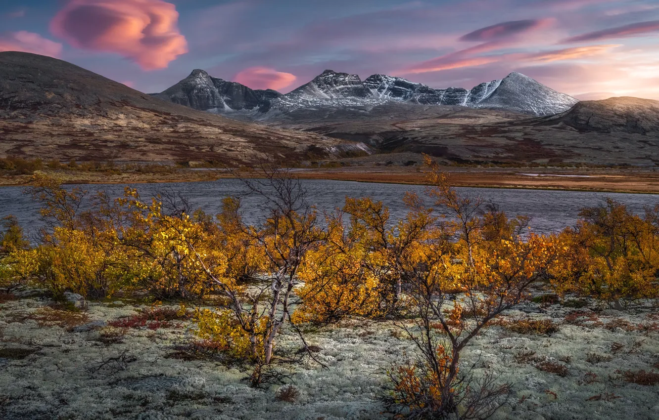 Photo wallpaper autumn, mountains, lake, Norway, the bushes, Norway, Rondane National Park, Rondane Mountains