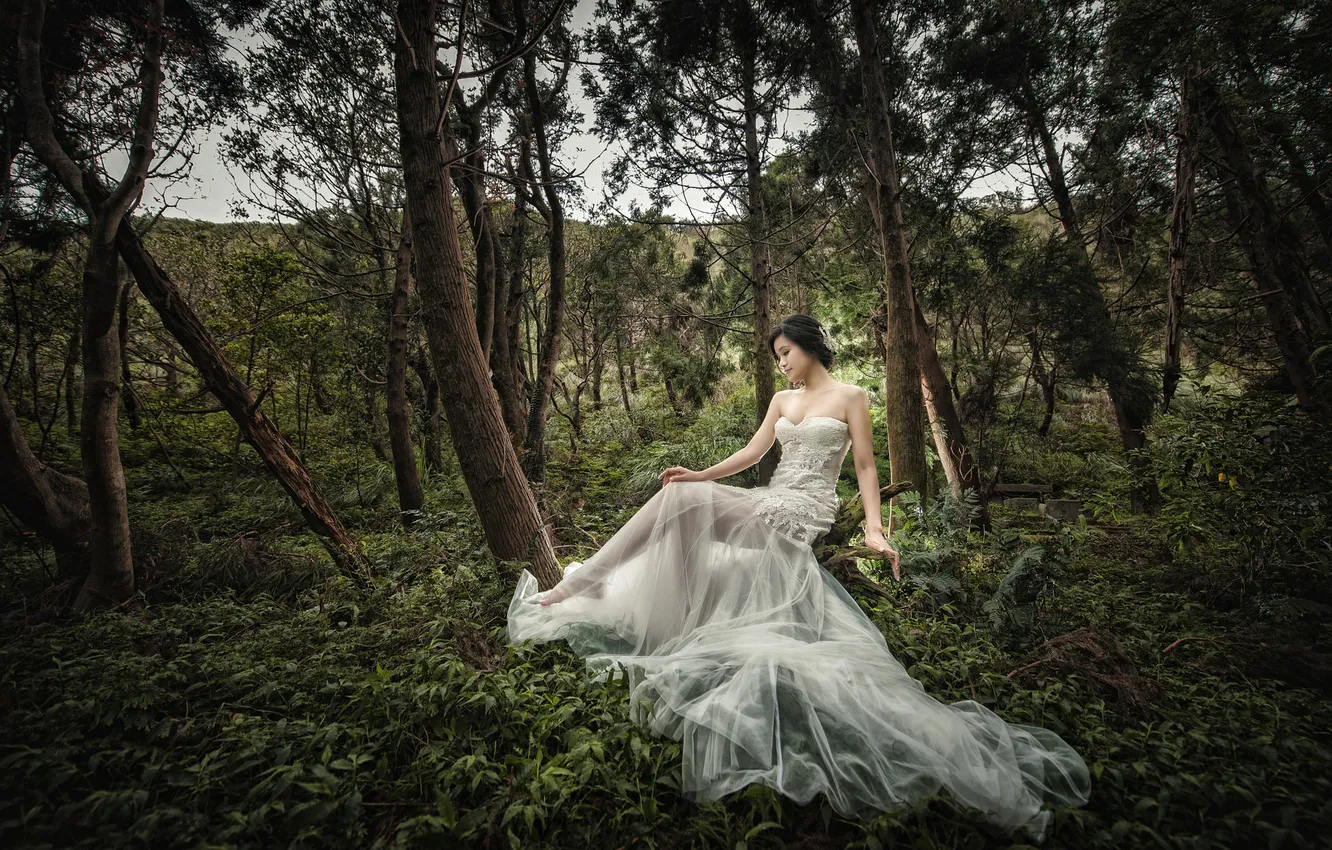 Photo wallpaper forest, girl, pose