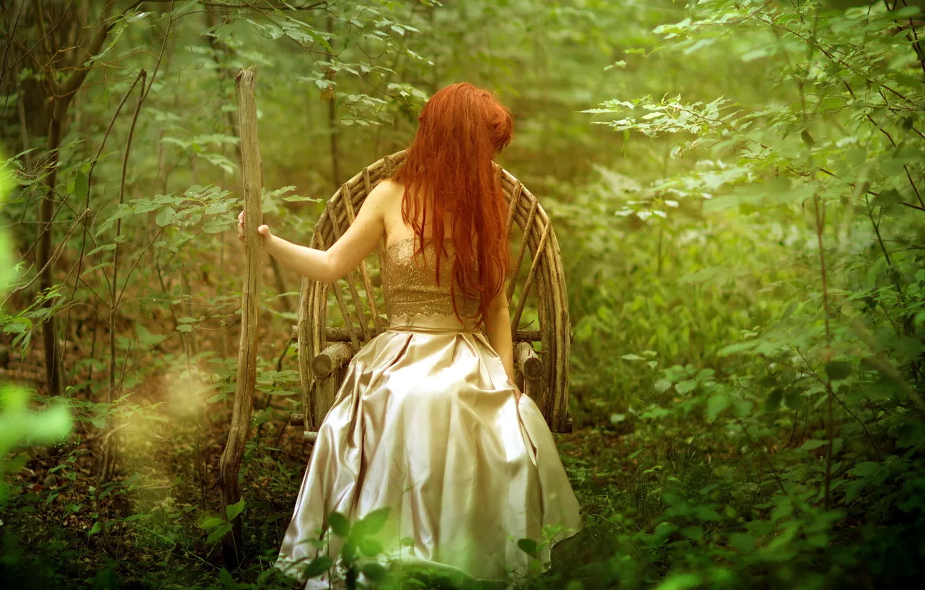 Photo wallpaper forest, summer, girl, background