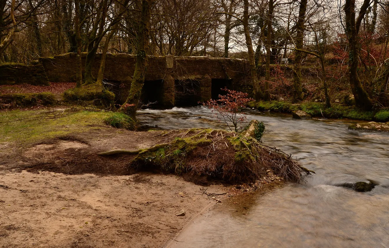Photo wallpaper bridge, Park, river, stream, stone