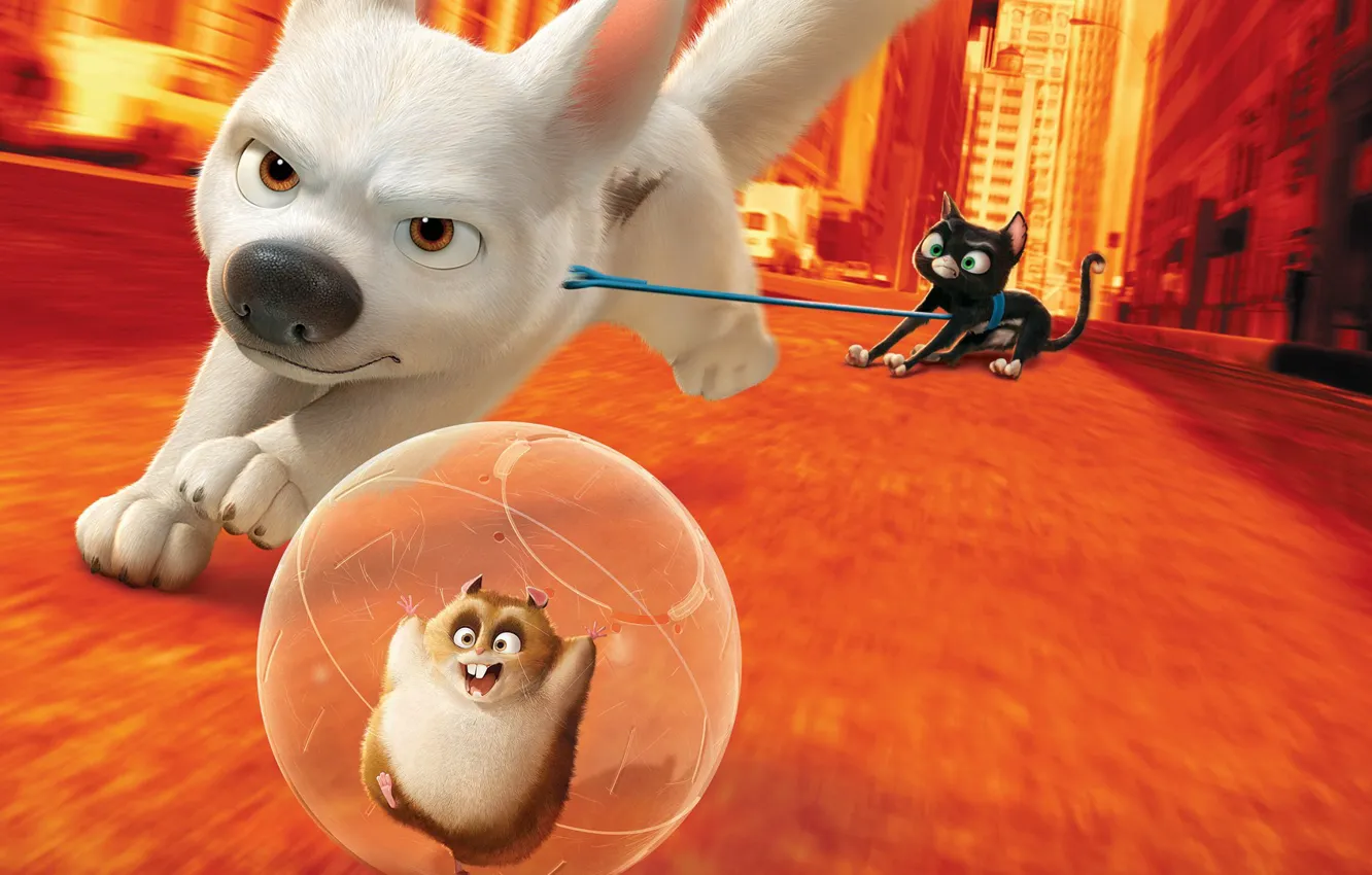 Photo wallpaper cinema, nothing, cat, dog, movie, hero, film, animated film