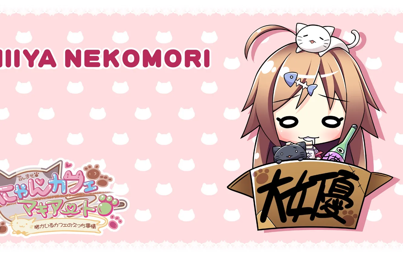 Photo wallpaper box, girl, kitty, I love it, Nyan Cafe Macchiato