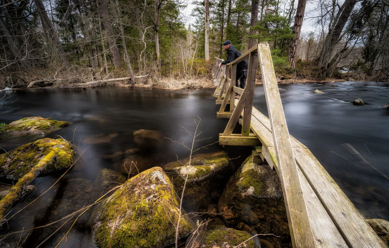 Photo wallpaper autumn, forest, bridge, river, stones, profile, male, the bridge