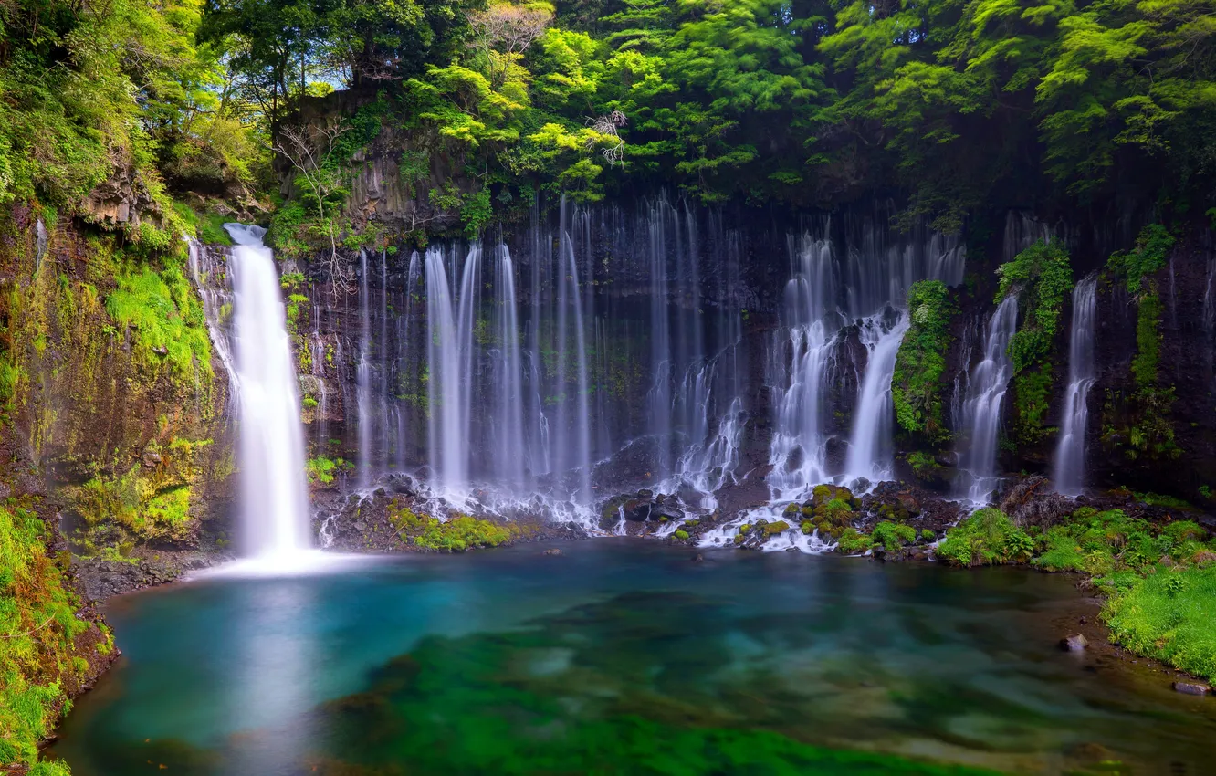 Photo wallpaper forest, nature, waterfall, Japan, Japan, forest, nature, waterfall