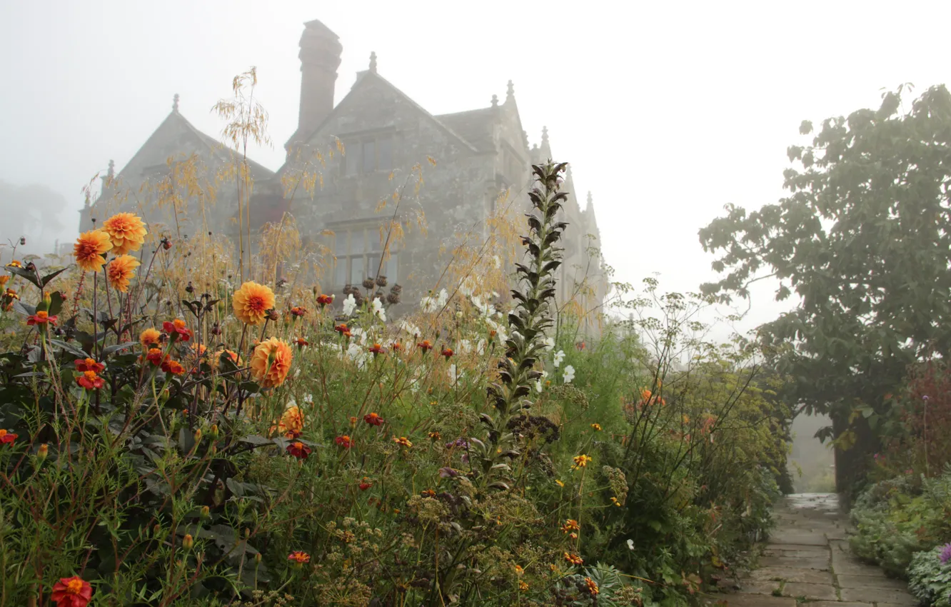 Photo wallpaper fog, house, castle, morning, garden