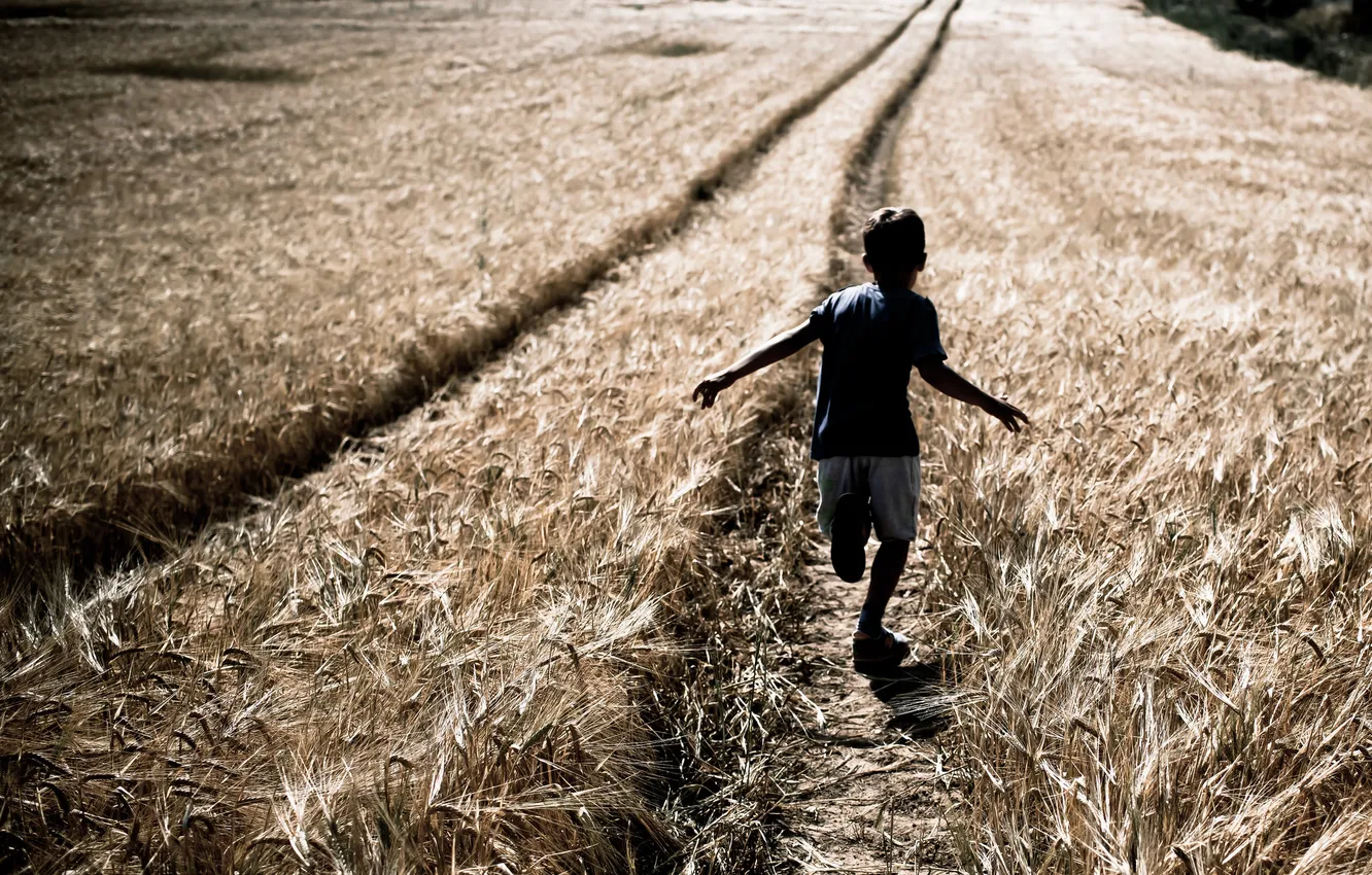 Photo wallpaper field, children, mood