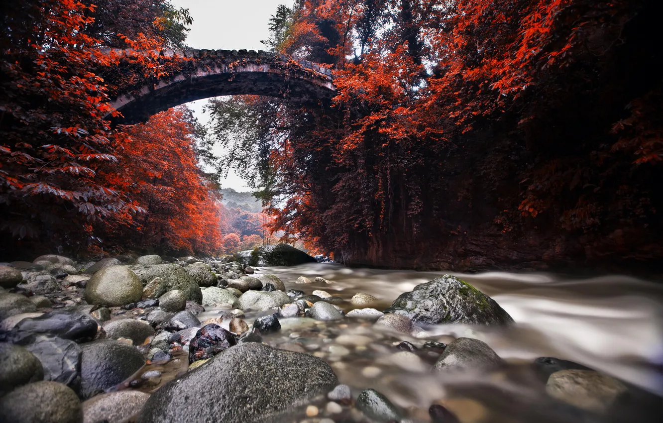 Photo wallpaper autumn, bridge, nature, river, stones