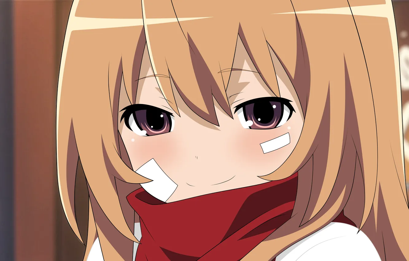 Photo wallpaper Aisaka Taiga, female, Toradora, Cutenotpedo (Artist)