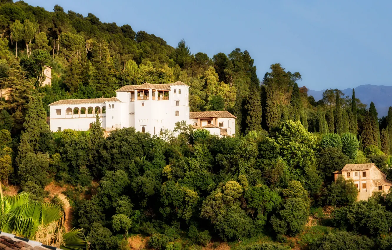 Photo wallpaper trees, landscape, nature, the city, hill, Spain, Palace, Granada