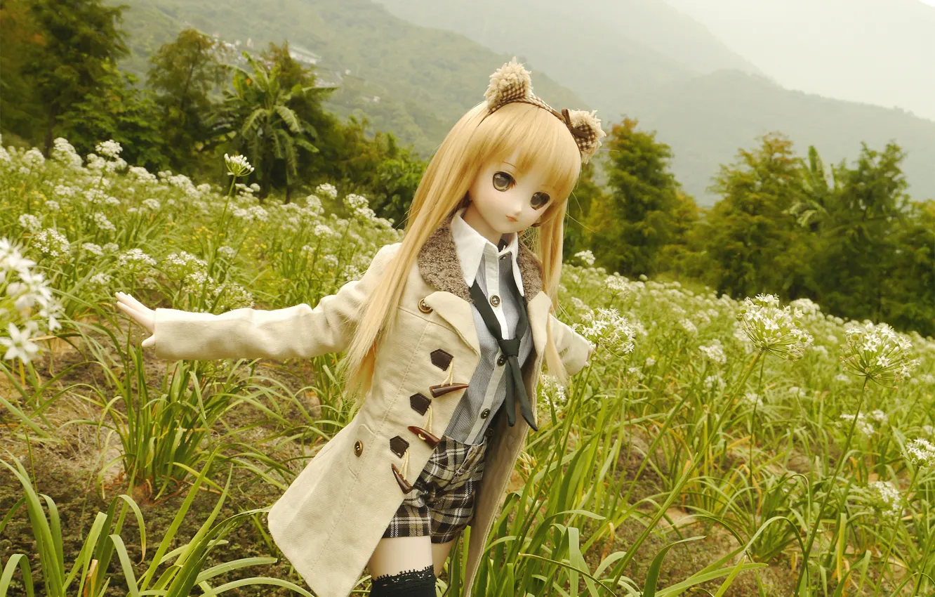 Photo wallpaper field, nature, toy, doll