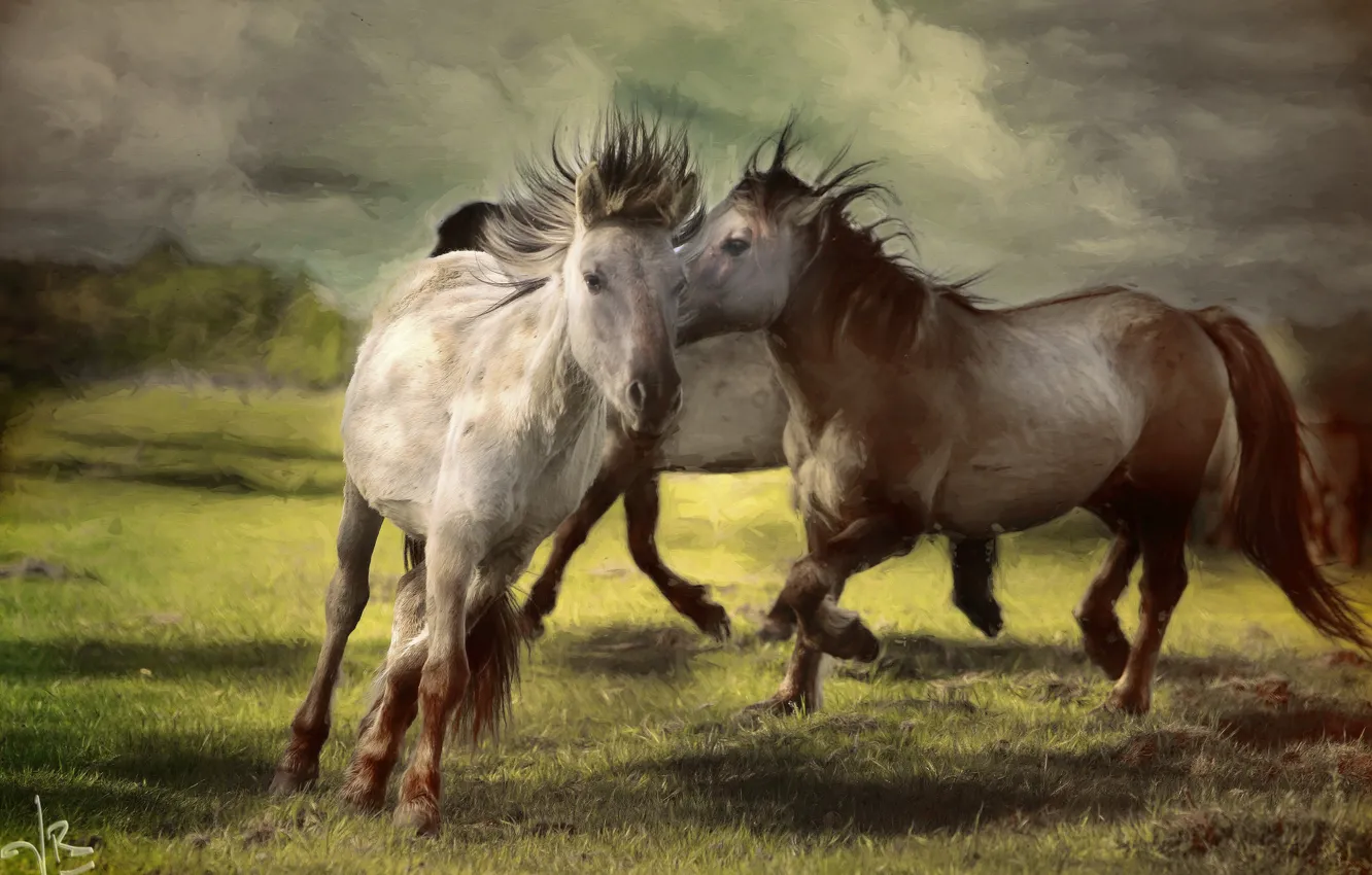 Photo wallpaper horses, horse, art, pair