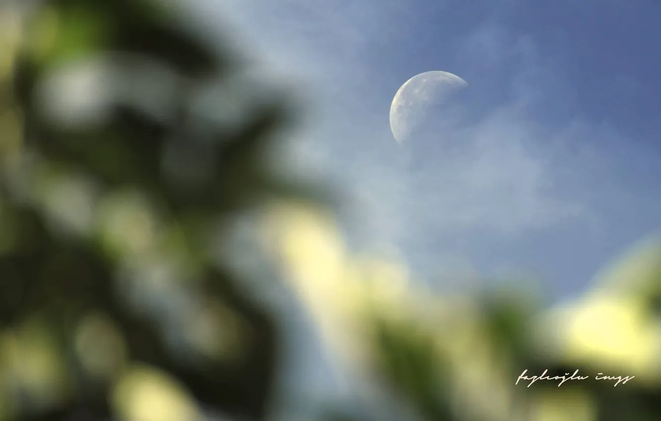 Photo wallpaper moon, sky, daylight