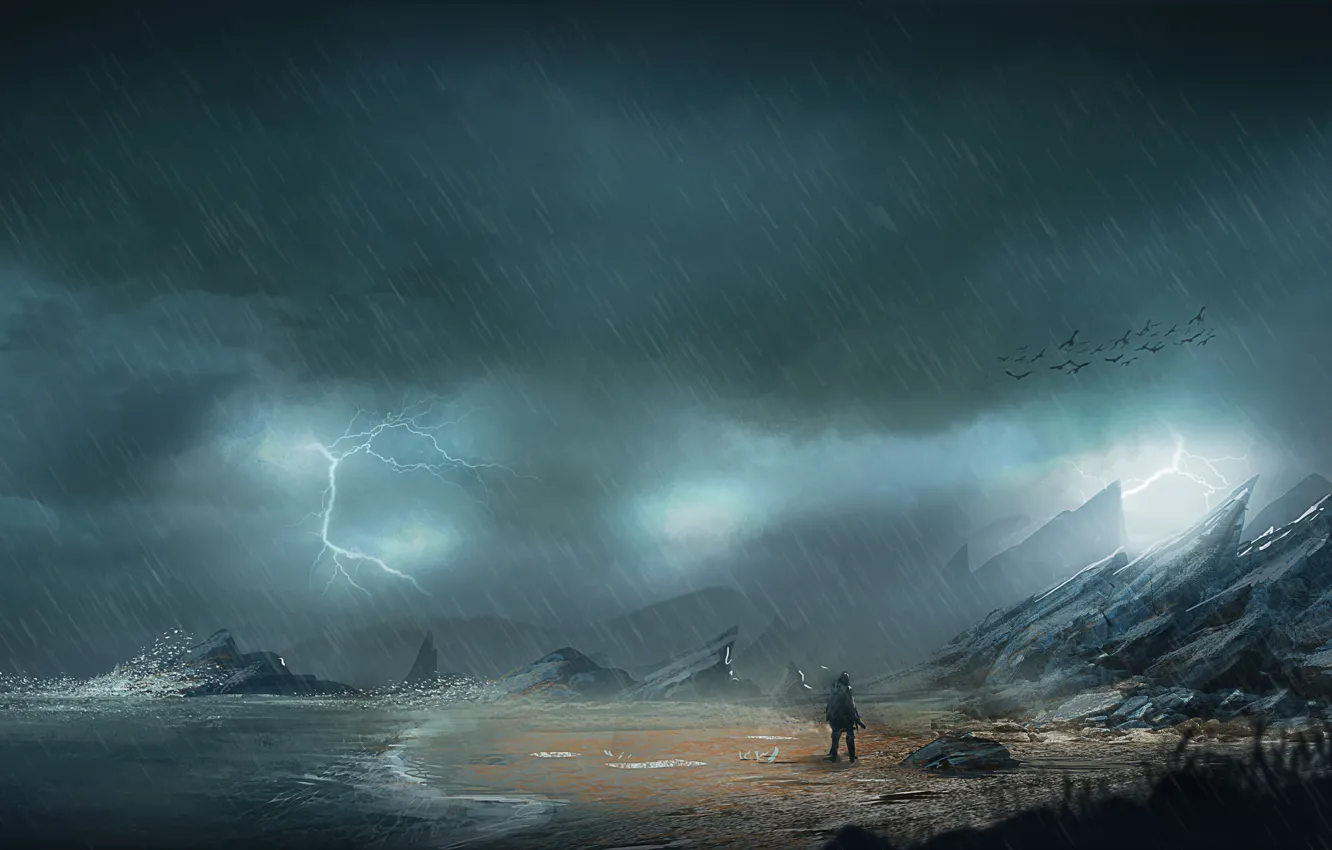 Photo wallpaper sea, the storm, birds, stones, rain, rocks, coast, lightning