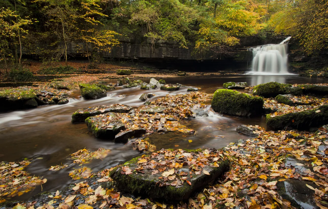 Photo wallpaper autumn, forest, leaves, trees, river, stones, England, waterfall