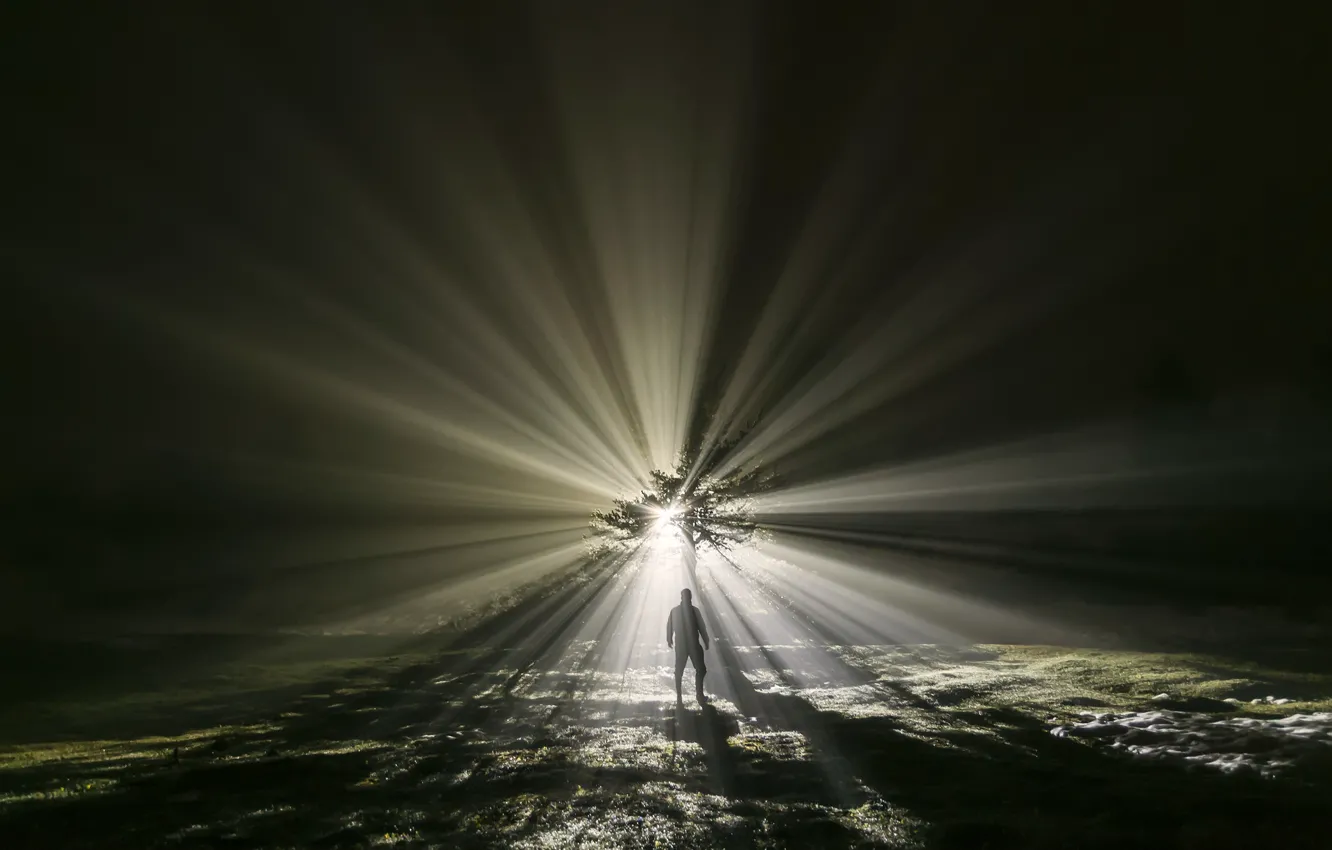 Photo wallpaper field, rays, light, trees, people, the evening, mystic