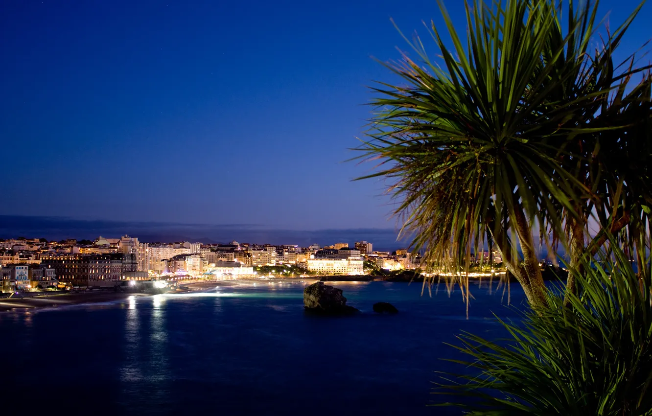 Photo wallpaper sea, leaves, landscape, night, branches, lights, coast, France