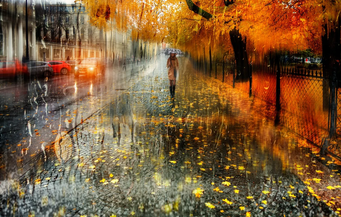 Photo wallpaper wet, autumn, girl, drops, the city, street, foliage, umbrella