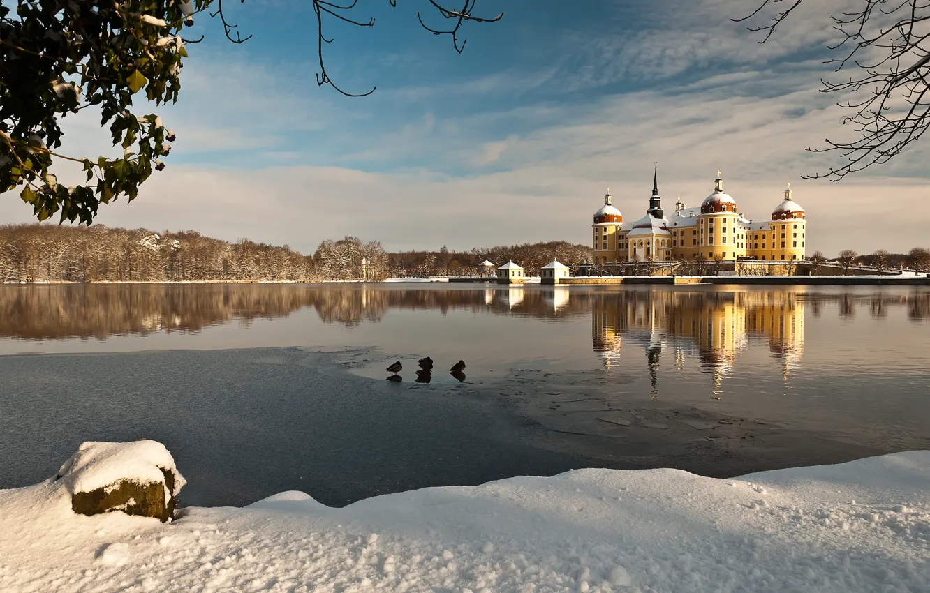 Photo wallpaper winter, water, snow, lake, reflection, Germany, Germany, Moritzburg Castle