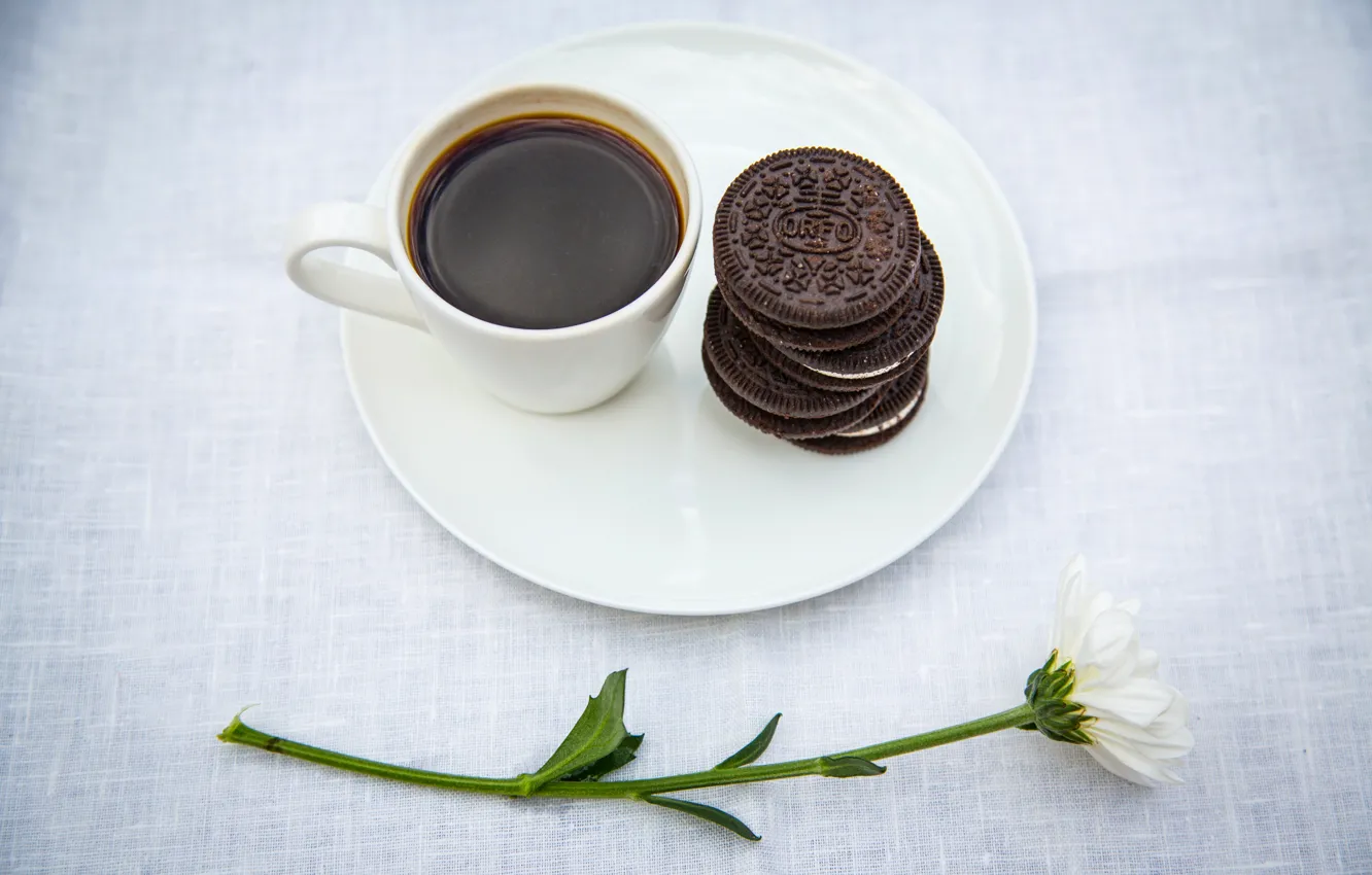 Photo wallpaper flower, table, coffee, Daisy, cookies, Cup, saucer, oreo