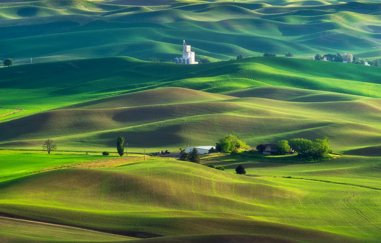 Photo wallpaper field, green, relief, hills, slope